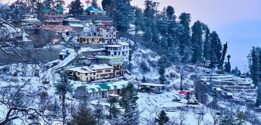 Shimla & Manali